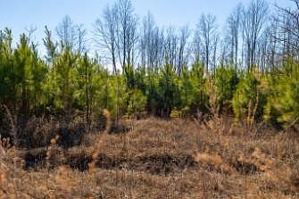 3rd image of 0 White Oak Rd Lot 15