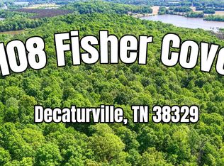 108 Fisher Cv, Decaturville, TN 38329