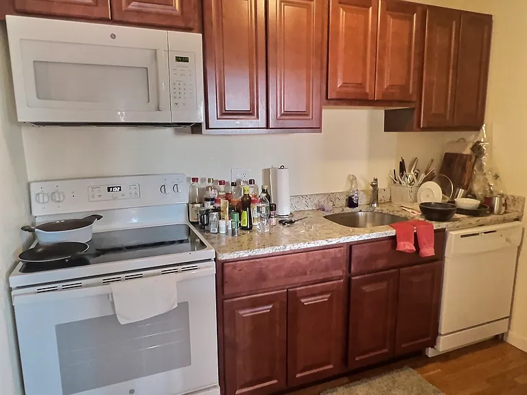 1027 Commonwealth Ave #32 — Photo 4