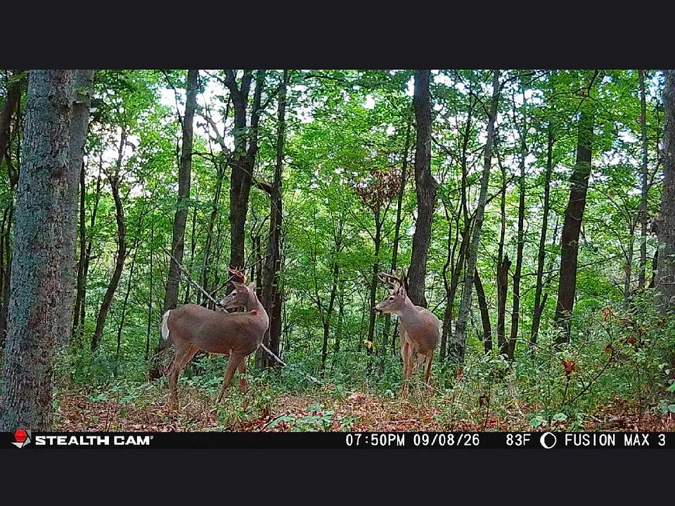 1st image of 2407 Beaver Rd #B