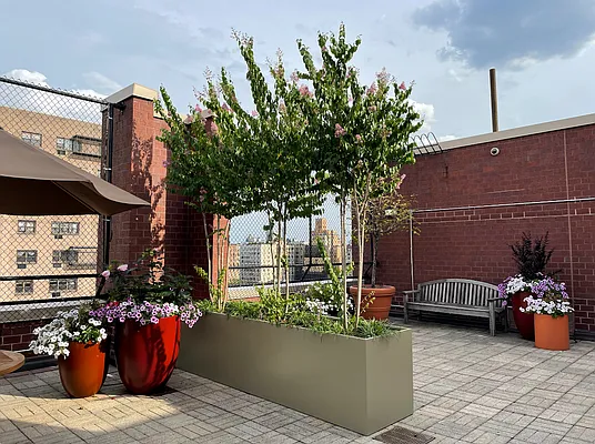 Rented by Corcoran | media 17