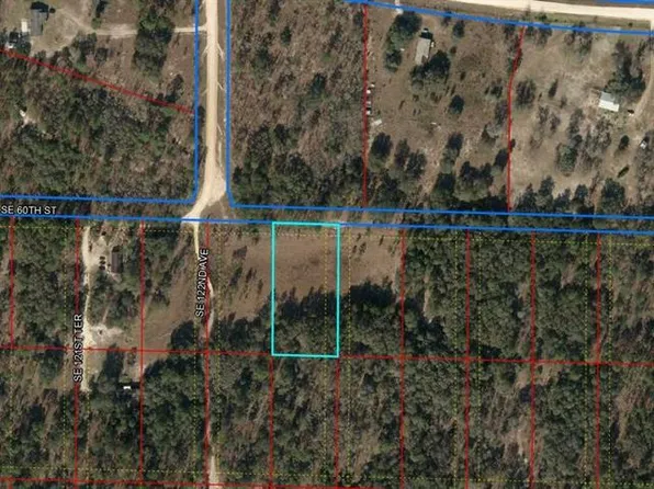 Tbd Se 60th St, Morriston, FL 32668