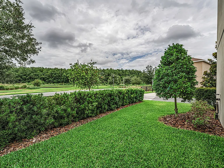 45-web-or-mls-Backyard 1_06112026