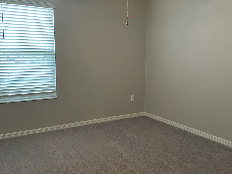5221 White Chicory Dr — Photo 29
