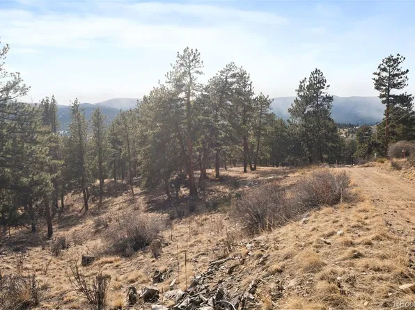 260 Bailey Drive LOT 6, Bailey, CO 80421