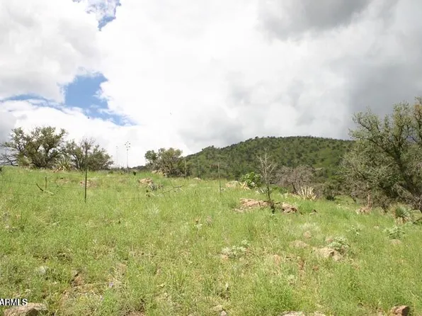 009N One More Road #-, Hereford, AZ 85615