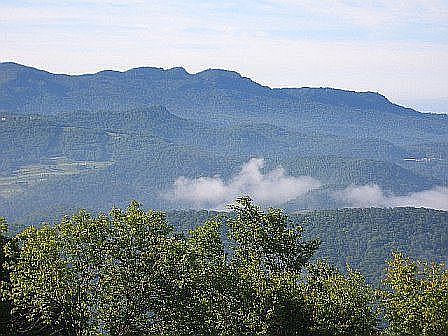 View from back porch