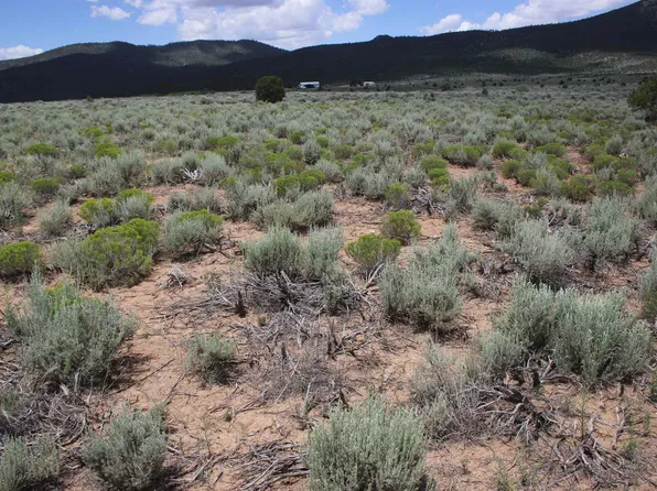 LOT Shirley Rd #D, Questa, NM 87556