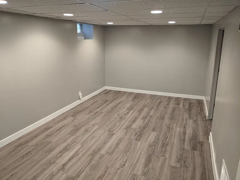 Basement living area