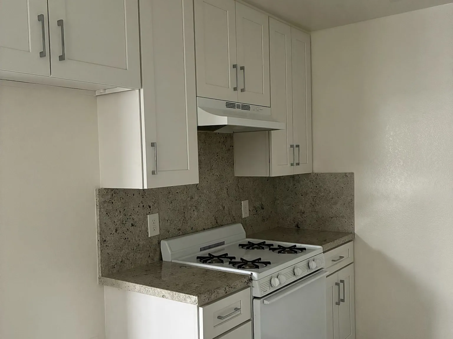 1 bed, 700 sqft, $1,850 — Photo 2