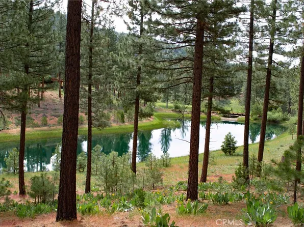 244 Blacktail Ridge Rd, Portola, CA 96122