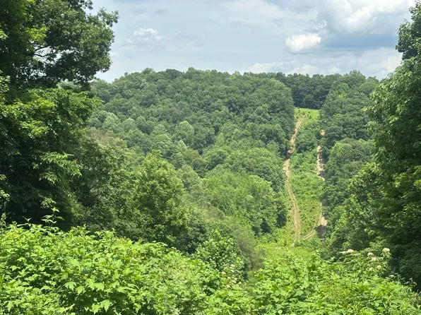 690 Adams Cemetery Rd, Liberty, KY 42539