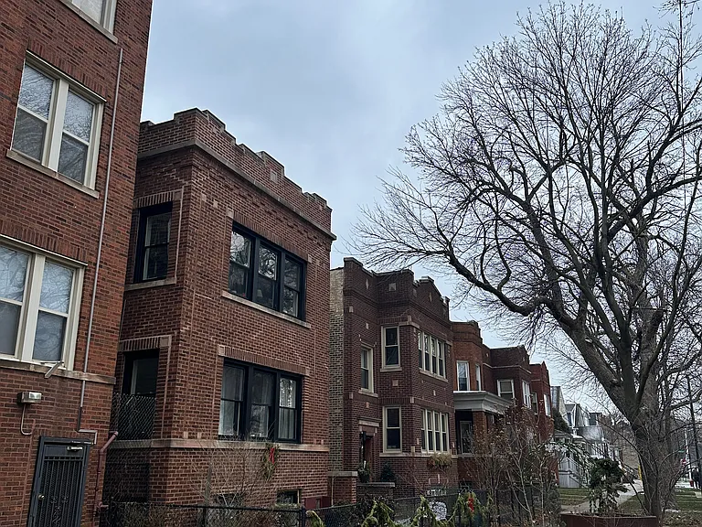 Cute tree lined block