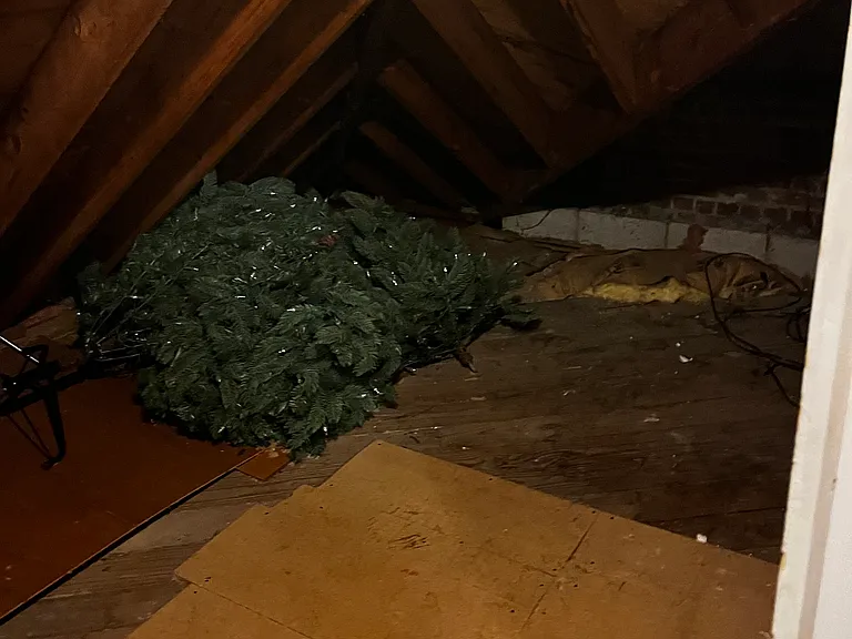 810 Richard St — Photo 37