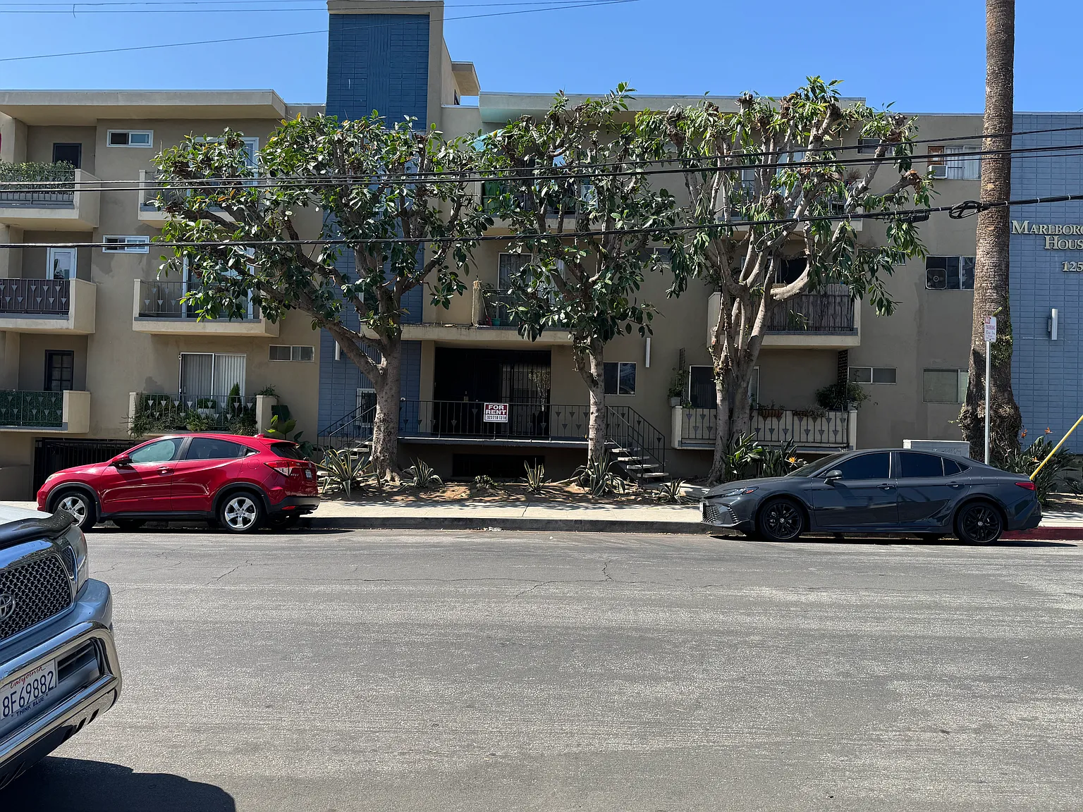 1 bed, 600 sqft, $1,850 — Photo 3