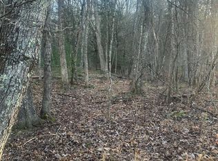 Tbd Little Creek Hwy, Dublin, VA 24084