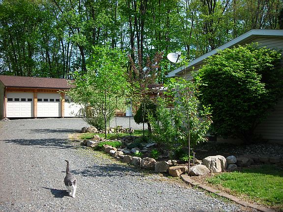 nice trees on side of house