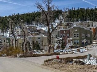 732 Louis Dr, Central City, CO 80427