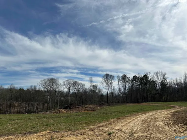 663 Holmes Rd, Falkville, AL 35622