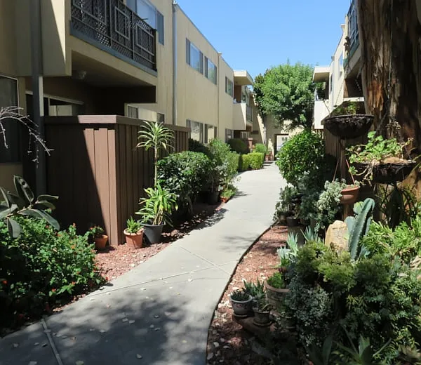 Roscoe Lanai Apartments — Photo 2