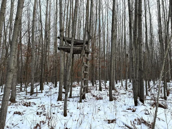 Xx Old Grade Rd, Pine River, MN 56474