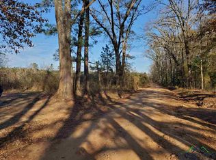 Rayburn Rd, Karnack, TX 75661