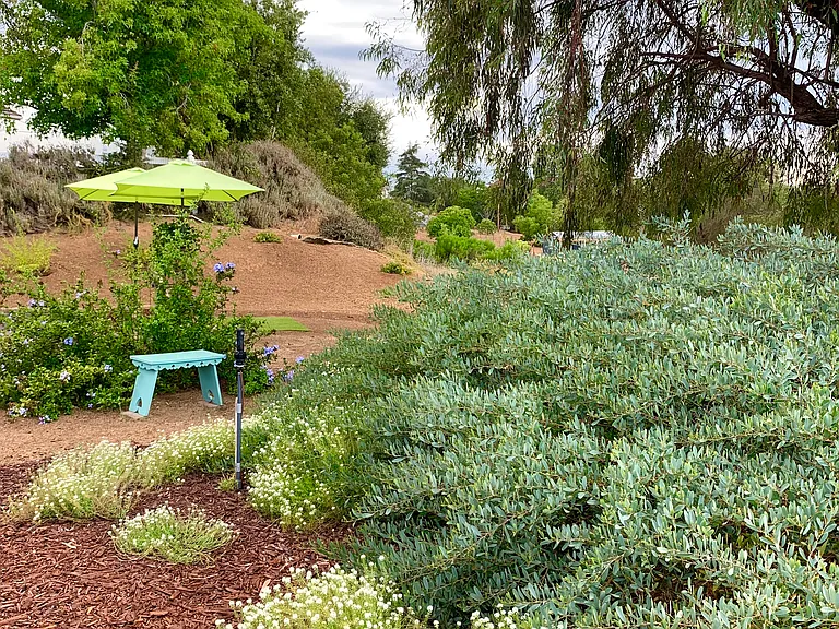 Backyard garden