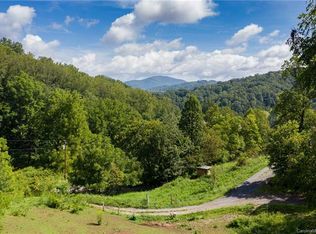 125 Sandy Branch Rd, Canton, NC 28716