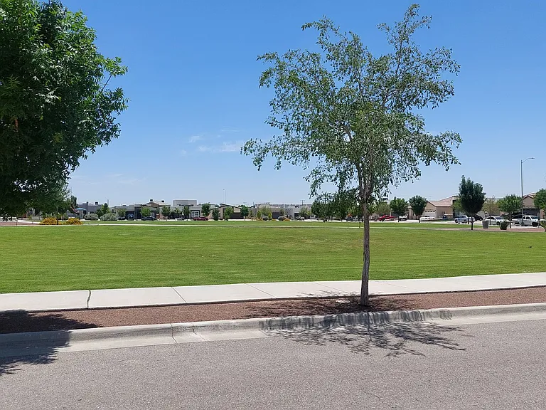 12349 Desert Wolf Ave — Photo 66