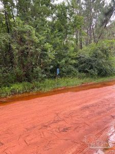 23 & 24 Nd Ave, Milton, FL, 32583