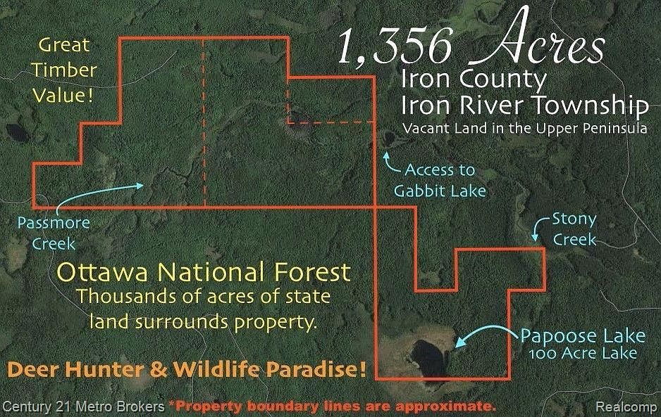 430700100 Off Timber Service Rd 3632, Trout Creek, MI 49967 Zillow