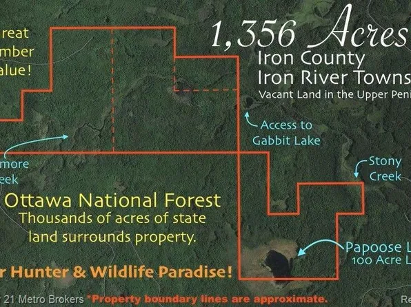 430700100 Off Timber Service Rd #3632, Trout Creek, MI 49967