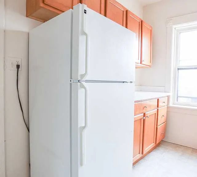 1533 W Cornelia Ave #2 — Photo 3