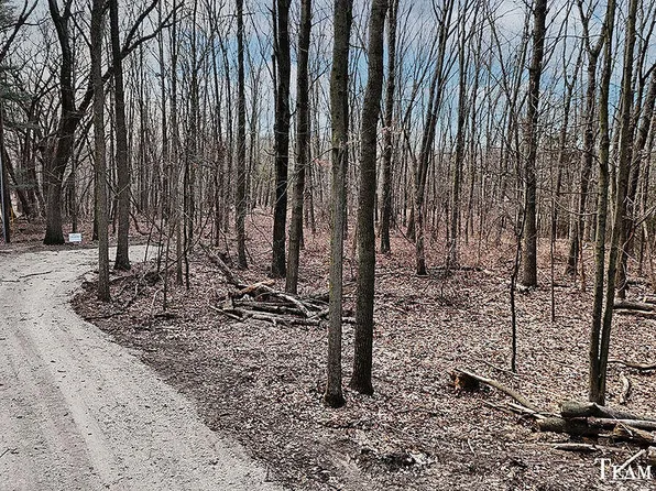 111 Landall Ln, Ada, MI 49301