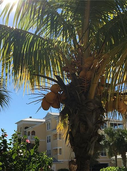 1st image of 8541 Amberjack Cir Unit 102