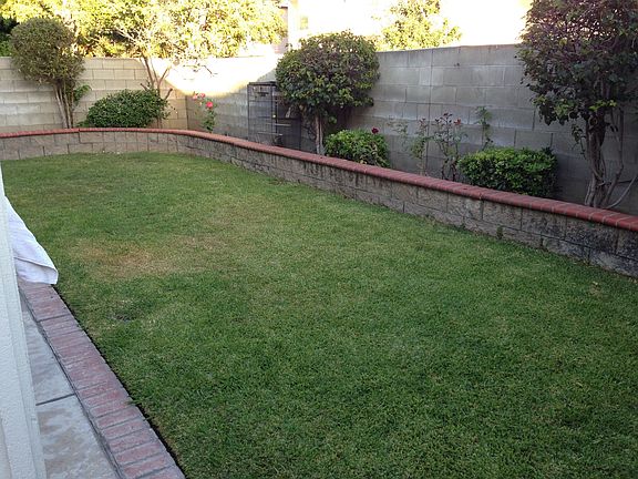 Nice Backyard