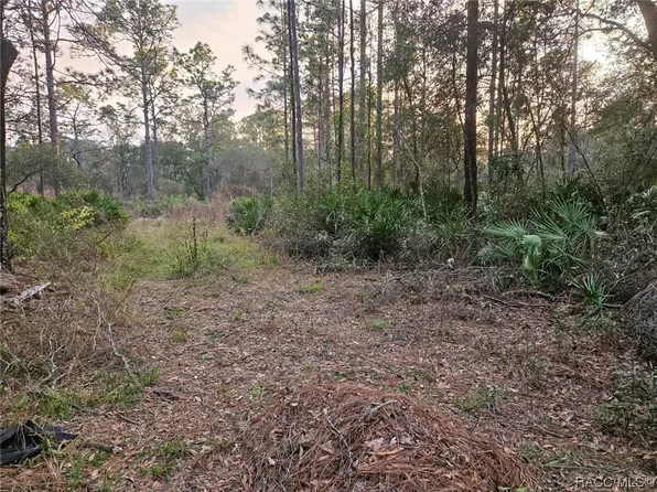 394 N Florene Point, Crystal River, FL 34429