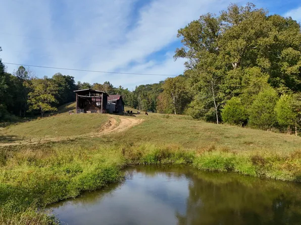 0 Sallings Monument Ln, Fort Blackmore, VA 24250