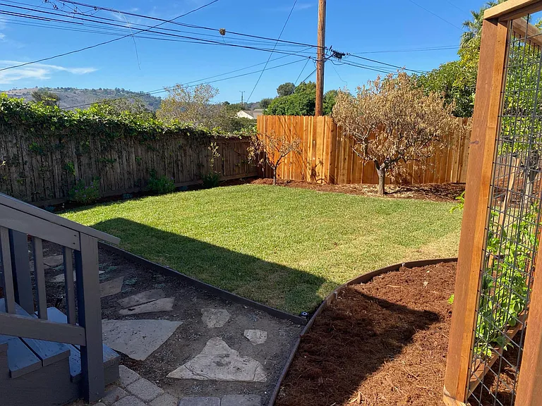 Grassy yard