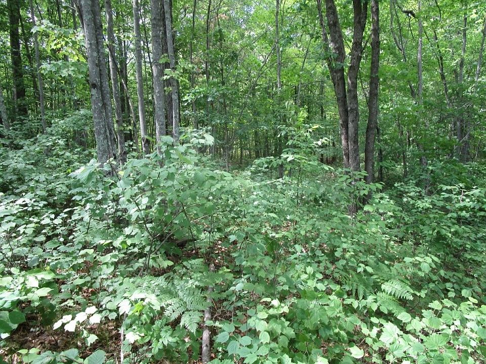 1st image of Lot 0 Timber Lane