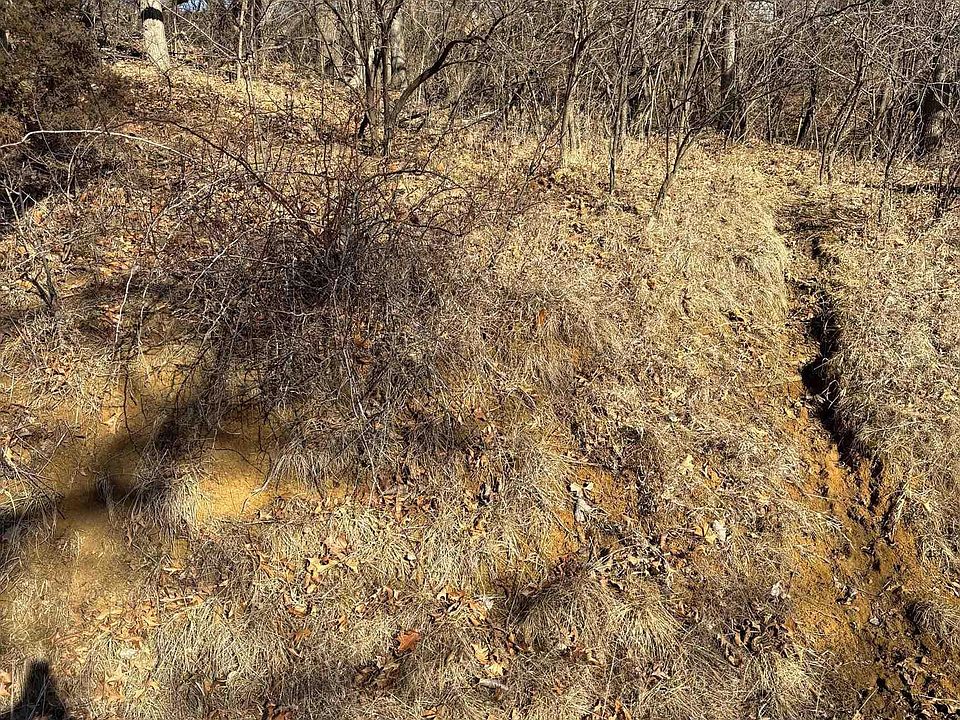 1st image of 4080 Herbert Dr