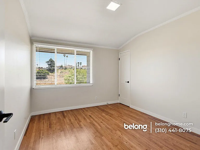 4701 Don Porfirio Pl — Photo 8