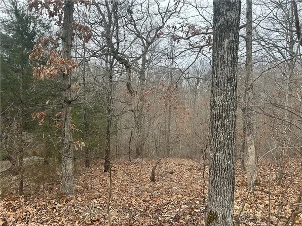 Delbeattie Ln #31, Bella Vista, AR 72715