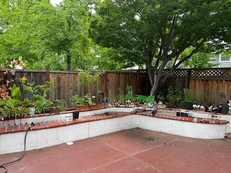 Backyard 3