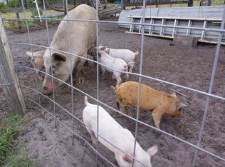 1050 Wild Pine Rd, Mims, FL 32754