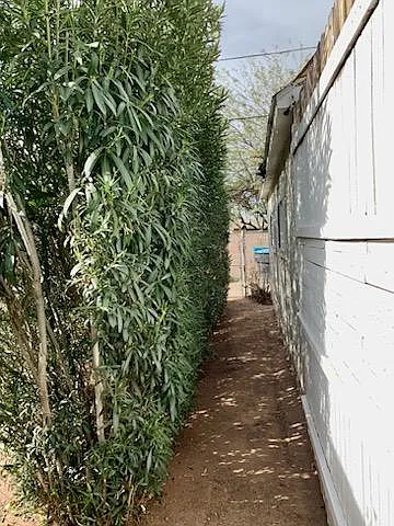 Side of tool shed walkway to back alley gate