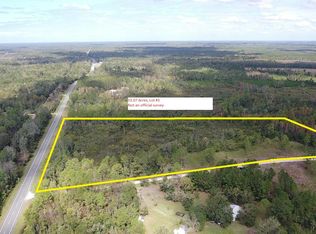 LOT 1 Albert Hendry Rd, Greenville, FL 32331
