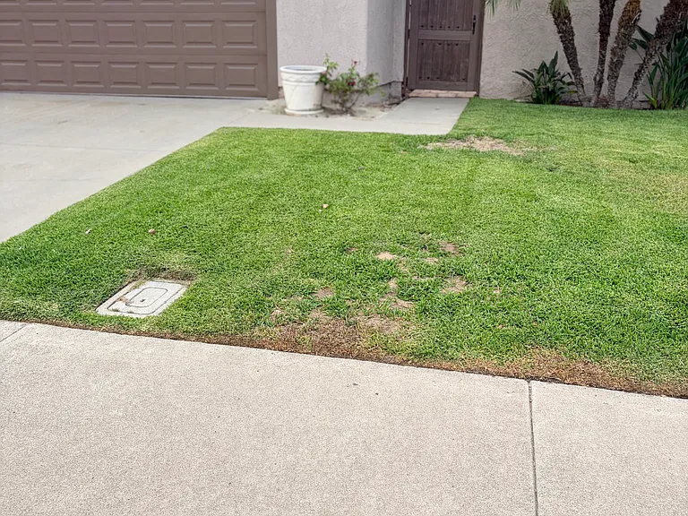 27331 Pinavete — Photo 2