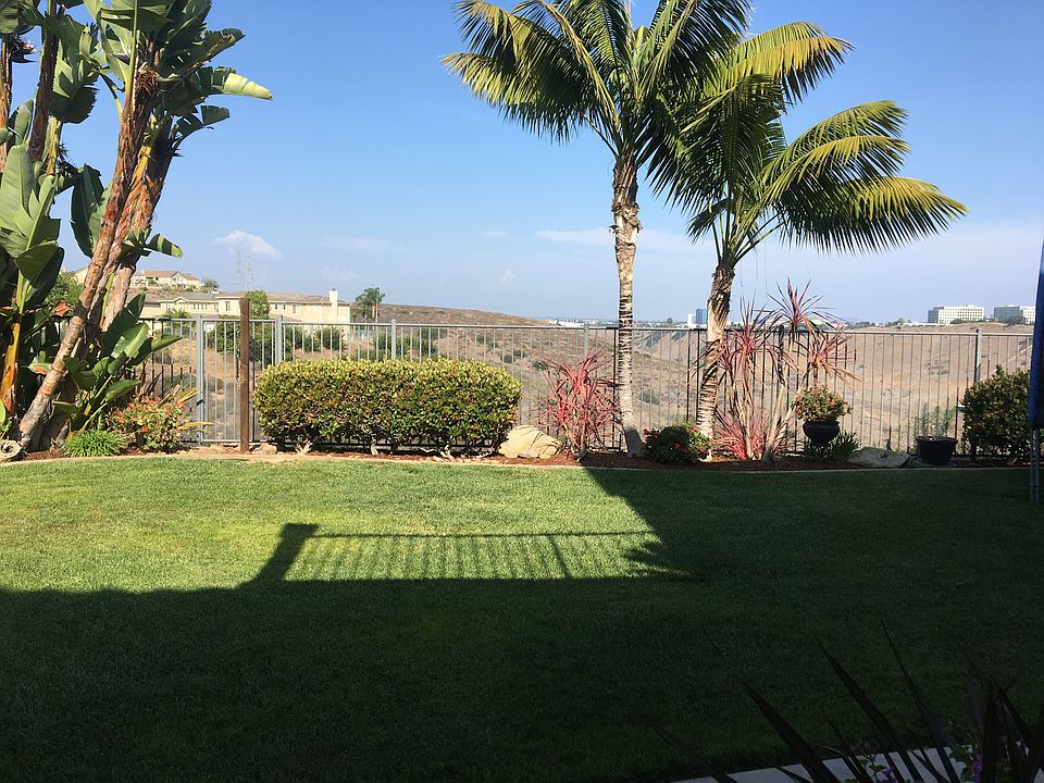 Backyard canyon view