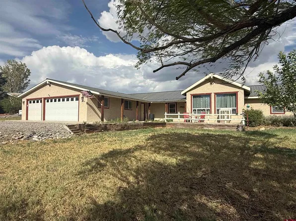 10706 Mesa View Drive, Austin, CO 81410
